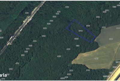 Spațiu comercial, în Bumbueni - 8