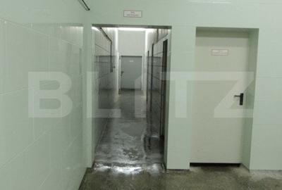 Cladire de vanzare (fosta fabrica de lactate) Cladire de vanzare (fosta fabrica de lactate) - 1