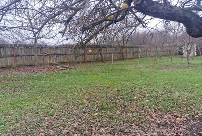 Casa Podul Brosteni- Arges! - 10