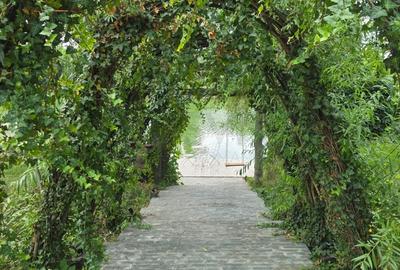 REA1024819 Apartament 2 camere Sisesti - 8