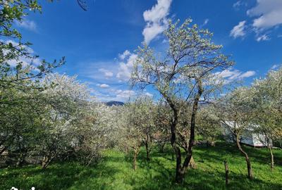 Teren de 1000 mp, în Ghioșești - 4