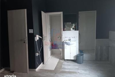 Spațiu comercial, de 403 mp, în Ciurea - 5