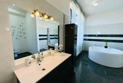 Aleea Privighetorilor- Penthouse 833 mp utili mobilat complet 3600 Euro + TVA - 17