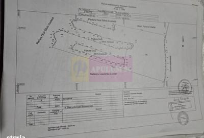 Teren de 94000 mp, în Bradu - 8