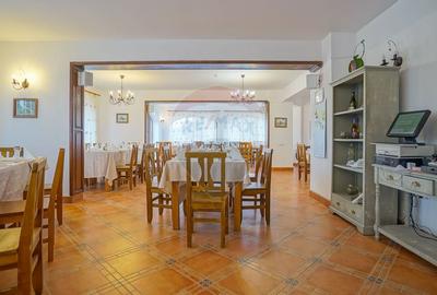 Hotel/Pensiune, de 2,950 mp, în Pănicel - 9