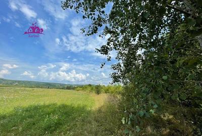 Teren de vanzare in Meziad. - 7