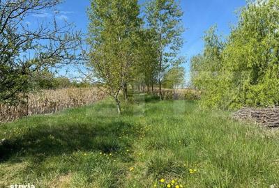 Spațiu comercial, în Calafindești - 5