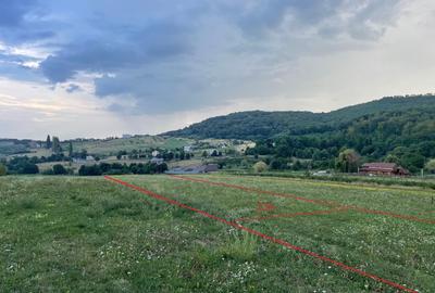 Teren de 11500 mp, în Târgu Neamț - 1