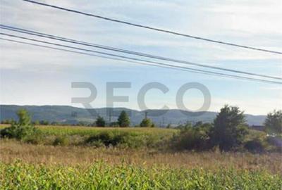 RECO Teren in Topa de Cris 7560mp aproape de E60 - 1