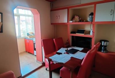 APARTAMENT 2 CAMERE LIPOVEI - 12