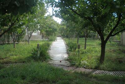 Casă cu 11 camere în Central - 5