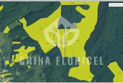 Vanzare PADURE - 3 HA - Varbilau, jud Prahova - 3