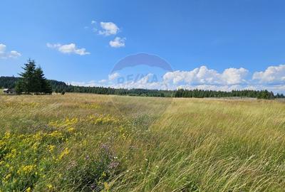 Teren partial intravilan 30,930 mp Poiana Stampei-DN E58, Suceava - 17