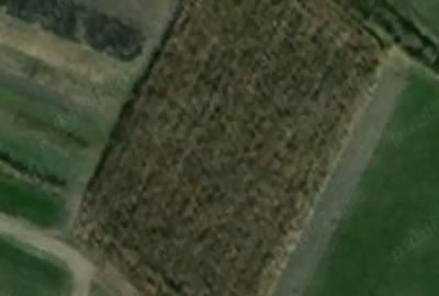 Spațiu comercial, în Chichiș - 2