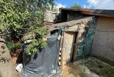 Teren + Casa Brancoveanu Imparatul Traian - 7