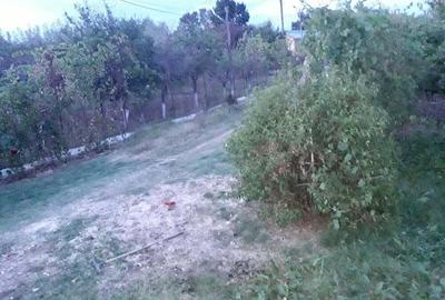 Casa de vanzare Jude?ul Giurgiu Comuna Vantorii Mici - 4