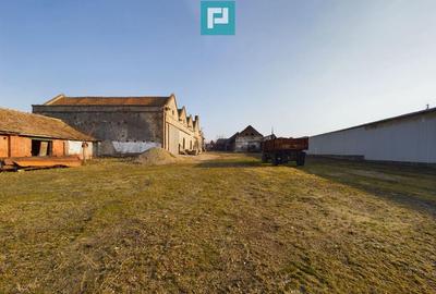 Teren ?i hale pe Calea Aradului din Periam - 11