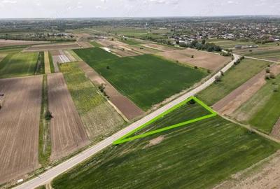 Teren de 3400 mp, în 1 Decembrie