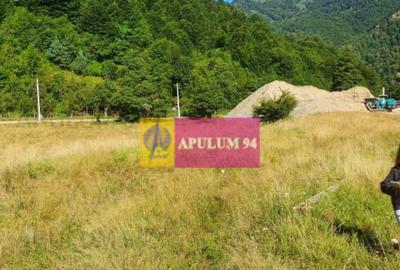 Teren Jude?ul Valcea - Brezoi, Valea lui Stan - 31