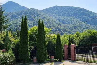 Casa Vacanta Lepsa Vrancea - 4