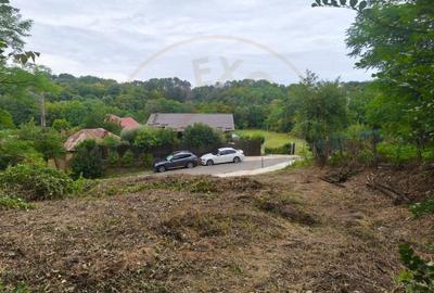 Teren intravilan Mosoaia - Hintesti - 2