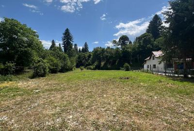 Teren intravilan 1200 mp – Valea Avrigului - 5