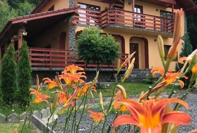 Afacere la cheie-casa de vacanta in Marginimea Sibiului- Gura Raului pe Valea Marajdiei - 3