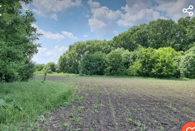 Teren Construcții intravilan de 1000 mp, în Central - 1