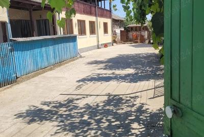 Gospodarie Olanu - 1