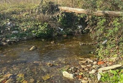 Teren Construcții intravilan de 19209 mp, în Crasna - 8