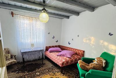 Casa/loc. in Sarata Monteoru, Buzau - 8