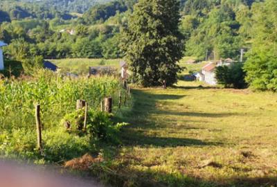 Teren de 7000 mp, în Ștubeie Tisa - 7