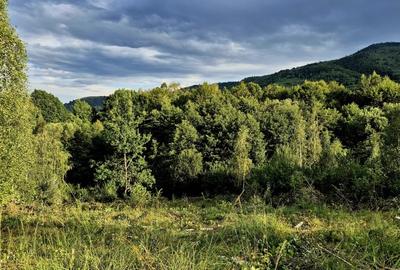 Vand teren in zona Fagaras, ideal refugiu vacanta/Comision 0 % - 5