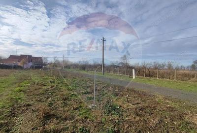 Teren de 1330 mp, în Drăgoiești - 5