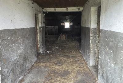 Teren de 28000 mp, în Tulgheș - 1