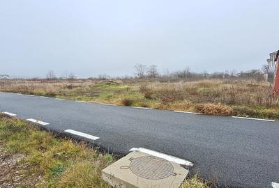 Teren Construcții intravilan de 2500 mp, în Dragomirești-Deal - 3