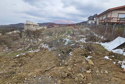 Teren de Vânzare în Salicea – Autorizație de Construire comision 0% - 2