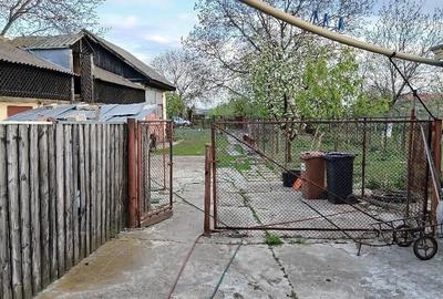 Casă cu Teren 1200 Mp în Cotu Vameș - 4