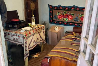 Casa batraneasca pe un singur nivel , 1700 mp teren, Bradest - 7