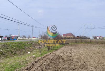 Teren agricol extravilan de 10000 mp, în Frumușani - 2