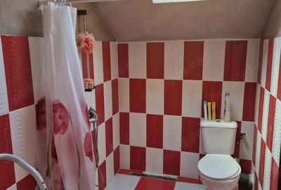 Casa S+P+E , Mobilata , Or. Pancota - 35 km de Arad , comision 0 Casa S+P+E , Mobilata , Or. Pancota - 35 km de Arad , comision 0 - 17