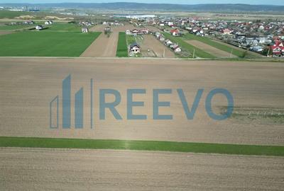 Teren de 10500 mp, în Nicolae Bălcescu - 6