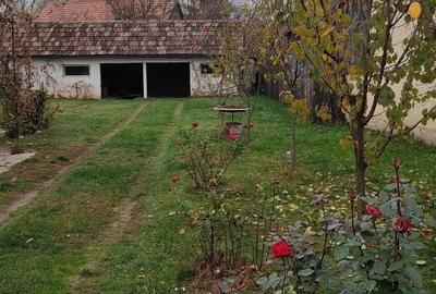 Casă cu 2 camere în Bita - 1