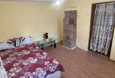 Casă cu 2 camere în Cățelu - 6