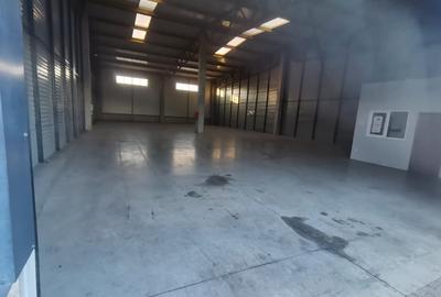 Hala Industriala de inchiriat in Capusu Mare - 5