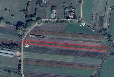 Teren de 1600 mp, în Prejmer - 2