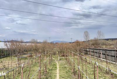 Casă cu 4 camere în Dângești - 4