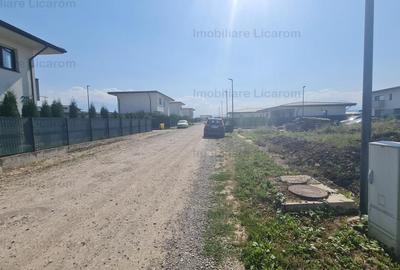 DIFERIT Haus ,Cristian,500 mp cu autorizatie,CASA IN CURS DE EXECUTIE - 10