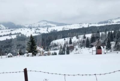 Teren de 2000 mp, în Central