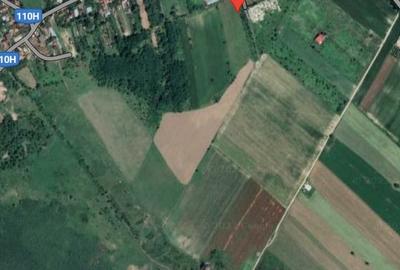 Teren în Siliștea Snagovului - 3